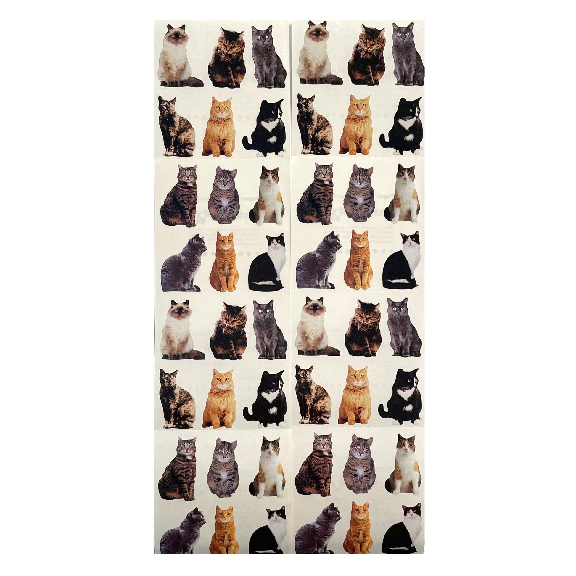 Cats Person Stickers! - 2 in Glossy Stickers! – Micashi Store