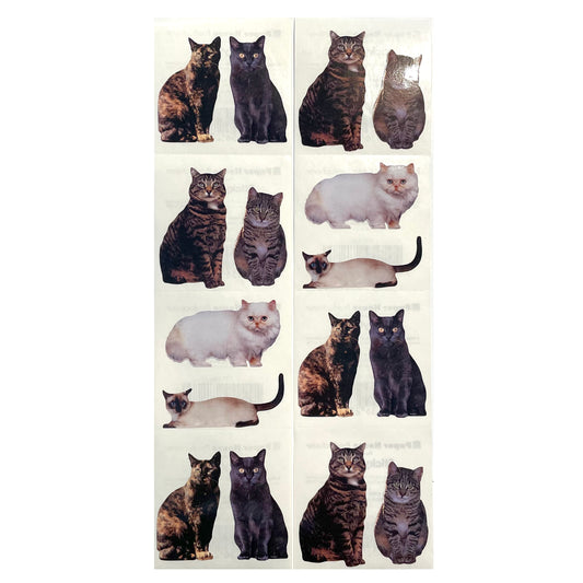 Paper House: Photoreal Cat stickers - 8 pcs